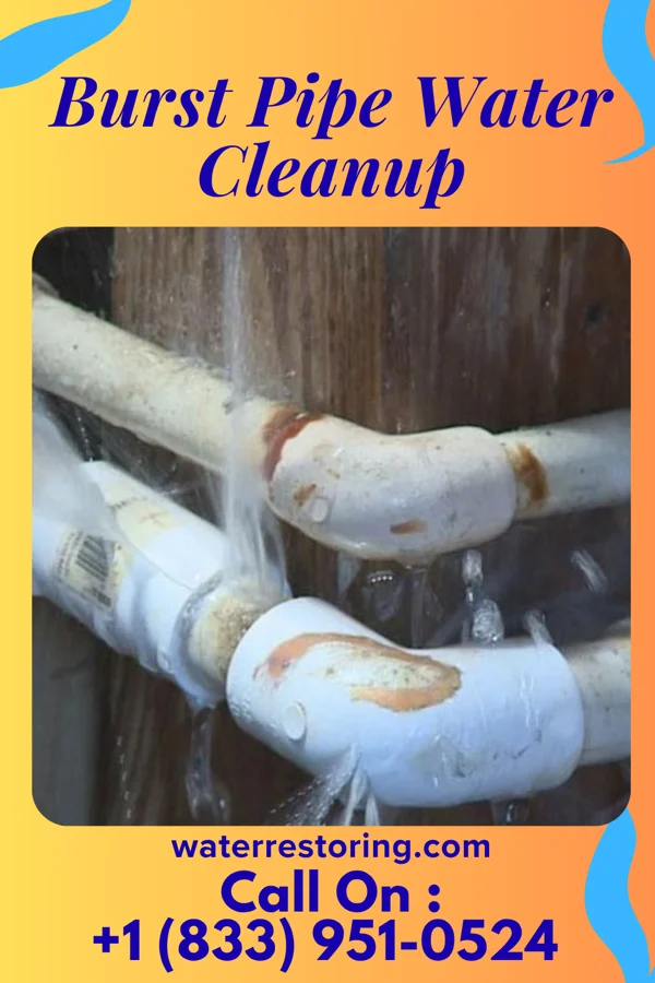 Burst Pipe Water Cleanup in Wisner, LA
