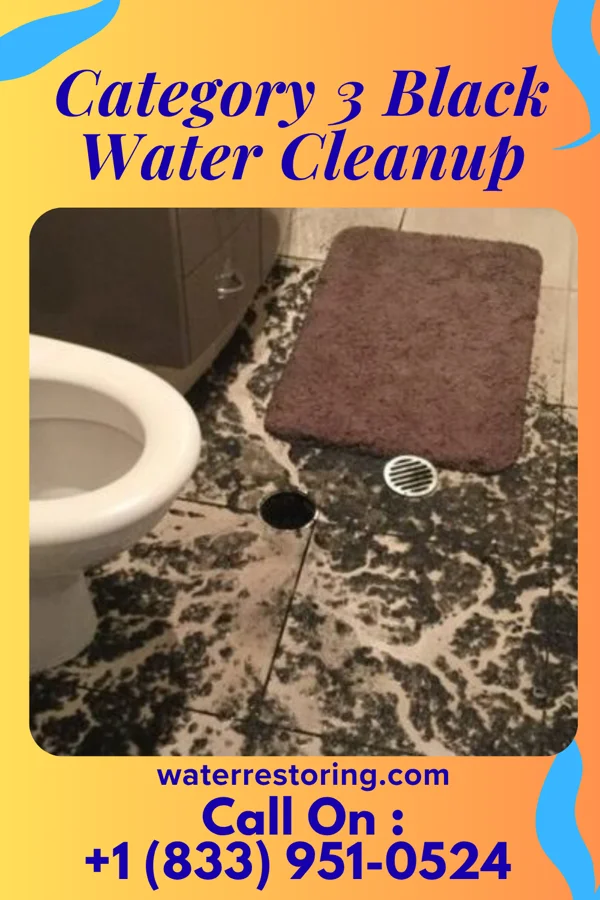 Category 3 Black Water Cleanup in Wisner, LA