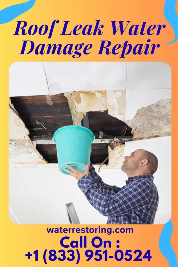 Roof Leak Water Damage Repair in Wisner, LA